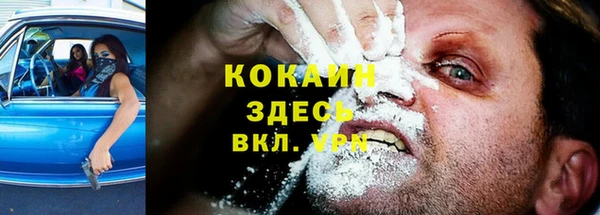 гидропоника Инта