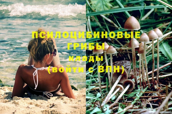 соль курить ск Зеленокумск